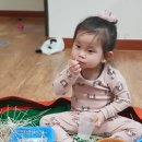 수민국수 이미지