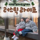 홍천엔 한옥 펜션 | 홍천 카페 러스틱라이프 아이와 프라이빗 한옥온실 단독대관 후기