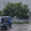 송창한 | [운전면허 #4] 양원운전면허학원 도로주행 시험 후기(일트 합격 히히)