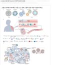 [일반] &#39;코로나19 이전의 세상은 잊어라&#39;. 이젠 확실히 알겠음 이미지