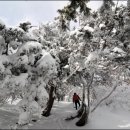 노동오토캠핑장 이미지