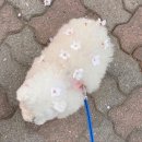 누나야 이미지