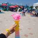 블루25워터파크(삼락야외수영장) 이미지