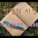 부여문학회 / 부여시낭송회 / 설봉문인협회 / 설봉시낭송예술인협회 회원 여러분. 설봉문학 2023년 7월 이달의 시인 / 조순자 시인 이미지