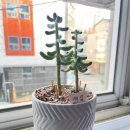 선산중앙로7길 이미지