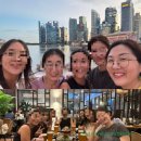 슬기로운 연세대학교 싱가포르 여자 동문회 생활 Feat. 곰탕 런치 모임에는 곰탕이 없다