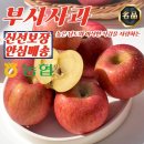사과