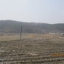 샘실목장 네이버블로그