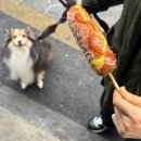 명랑핫도그수유점 이미지