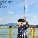 거금해양낚시공원 이미지