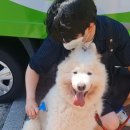 향기롭개 이미지