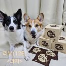 오가네기름집 | (과자 추천)남녀노소 가리지 않고 먹을 수 있는 간식!!오가네 초코샌드칩 먹방 후기