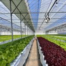 수기농장 이미지