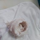 싱싱회 활어