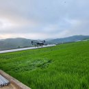 드론 DJI T20P 폐배터리 구합니다 이미지