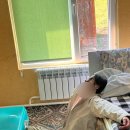 아라정비 | 키르기스스탄 여행| 트립소다 패키지 투어 후기/아라콜 패스 승마-아라콜 호수 트래킹