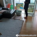 퀸스애견학교