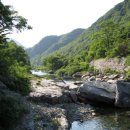 괴목민박 이미지