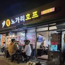 왕노가리호프 이미지
