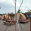 서천금빛노을서울캠핑장 이미지