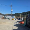 전남유통형마을기업 주식회사 | 케이미디어스튜디오 김영희 광주조리명장과 장산도 마을기업의 특별한 식재료 여정 드론항공촬영 스토리