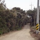 토산중앙교차로 4 이미지