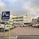 명품 벚꽃 길 | 세종 부강 벚꽃길, 코다리찜 맛집 명품어담 방문 후기