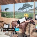과천 경마공원 서울 렛츠런파크 말박물관 방문 후기