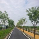 제방로 이미지