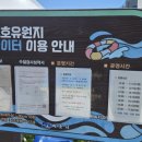청초호유원지(중앙) | [강원] 청초호 물놀이장 가보다!