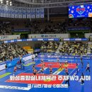 종합스포츠타운체육관 | 화성종합실내체육관 주차 W3구역 B열 시야 여자 배구 직관 후기(IBK기업은행 vs 현대건설)