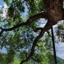 정선고등학교 이미지