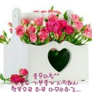 요이