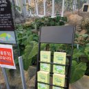 개미식물원 | 포항 가볼만한곳 환호공원 식물원 | 입장료·후기 솔직 정리