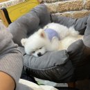 오씨오씨 이미지
