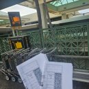 블랙비치 | 와이키키 7day-1/ 빅아일랜드 일일투어/리차드슨 블랙샌드비치/개별예약/ 할로인 할로아웃/ 후기