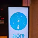 해맑은약국 | 강아지를 주제로 한 창작 뮤지컬 라이카, 공연 관람 후기