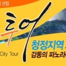 금용씽크 이미지
