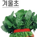 11500-7-74-16 | 부산 수제이유식, 수영구 남구 북구 정기배송 가능한 베베파파 솔직 이용후기