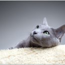 은계동물병원 이미지