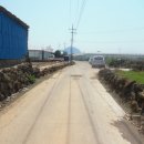 대정읍사무소 이미지