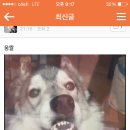 에움 이미지