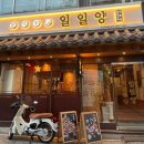 일일양 동래점 이미지