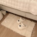 501 | 내돈내산 포루투갈 러그│빌라501 세탁방법 후기 가격