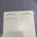 비비드포인