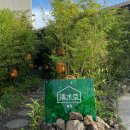 제주 서쪽 | 제주 애월 카페 추천 오션뷰 제주 서쪽 청수당 애월 내돈내산 후기