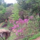 황부자 며느리 친정가는 둘레길 이미지