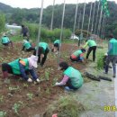 시곡1통 이미지