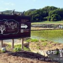 자연과힐링 이미지