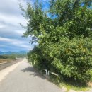 해망정 국궁장 이미지